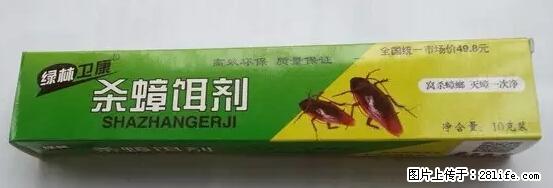 【紧急提醒】如果有“防疫站工作人员”上门灭杀蟑螂,请立刻报警 - 灌水专区 - 徐州生活社区 - 徐州28生活网 xz.28life.com