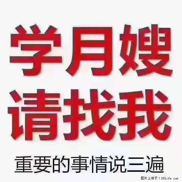 为什么要学习月嫂，育婴师？ - 其他广告 - 广告专区 - 徐州分类信息 - 徐州28生活网 xz.28life.com