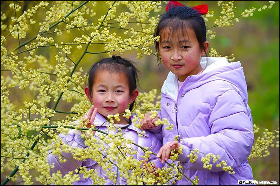 【春天,广西桂林灌阳县向您发出邀请!】米珠山前有片山苍子花在飘香 - 游山玩水 - 徐州生活社区 - 徐州28生活网 xz.28life.com