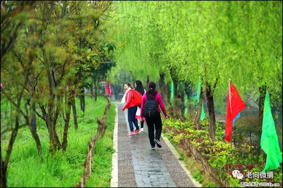 【春天,广西桂林灌阳县向您发出邀请!】江口老街又逢春 - 游山玩水 - 徐州生活社区 - 徐州28生活网 xz.28life.com