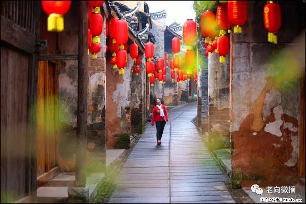 【春天,广西桂林灌阳县向您发出邀请!】江口老街又逢春 - 游山玩水 - 徐州生活社区 - 徐州28生活网 xz.28life.com