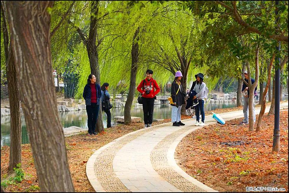 【春天,广西桂林灌阳县向您发出邀请!】江口老街又逢春 - 游山玩水 - 徐州生活社区 - 徐州28生活网 xz.28life.com