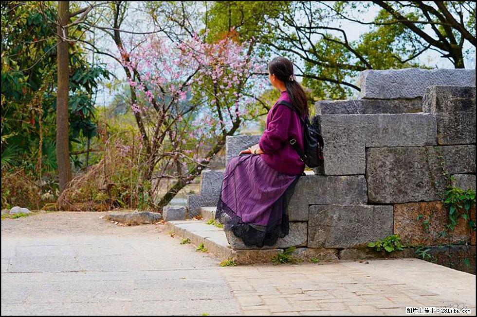 【春天,广西桂林灌阳县向您发出邀请!】江口老街又逢春 - 游山玩水 - 徐州生活社区 - 徐州28生活网 xz.28life.com