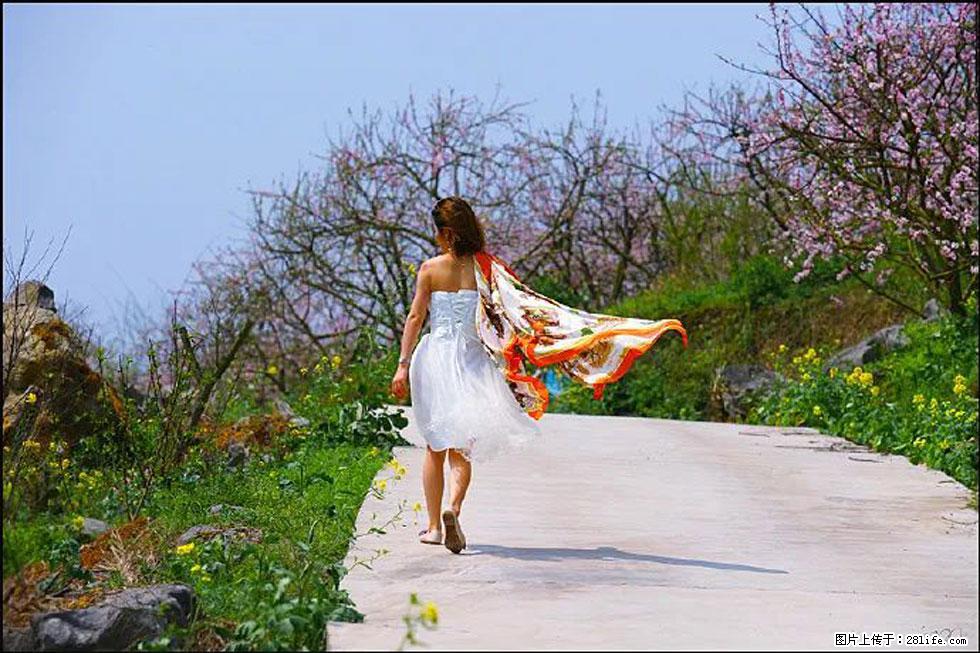 【春天,广西桂林灌阳县向您发出邀请!】望月岭上桃花开 - 游山玩水 - 徐州生活社区 - 徐州28生活网 xz.28life.com