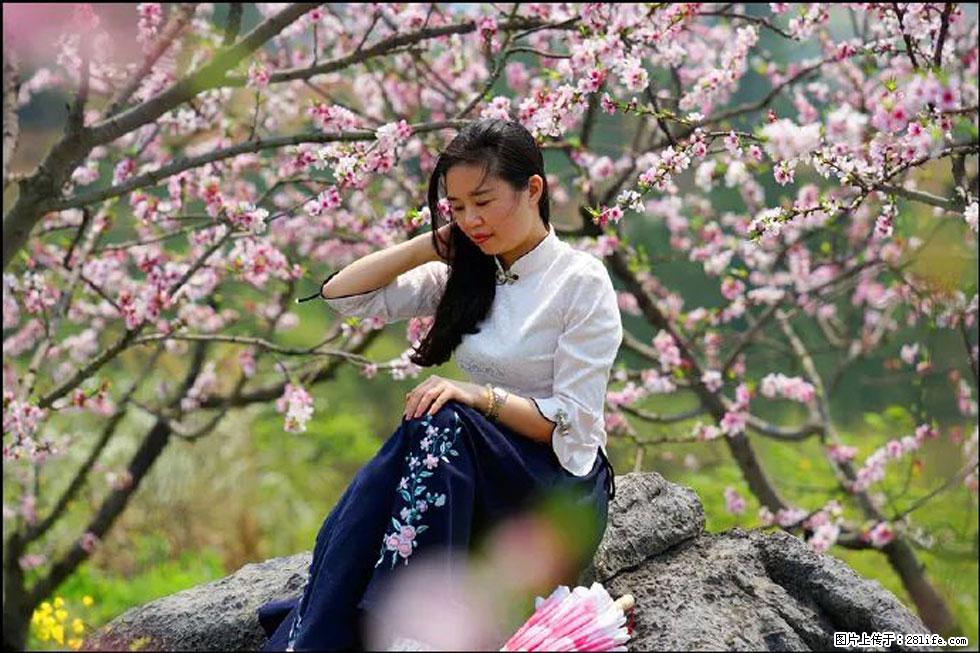 【春天,广西桂林灌阳县向您发出邀请!】望月岭上桃花开 - 游山玩水 - 徐州生活社区 - 徐州28生活网 xz.28life.com