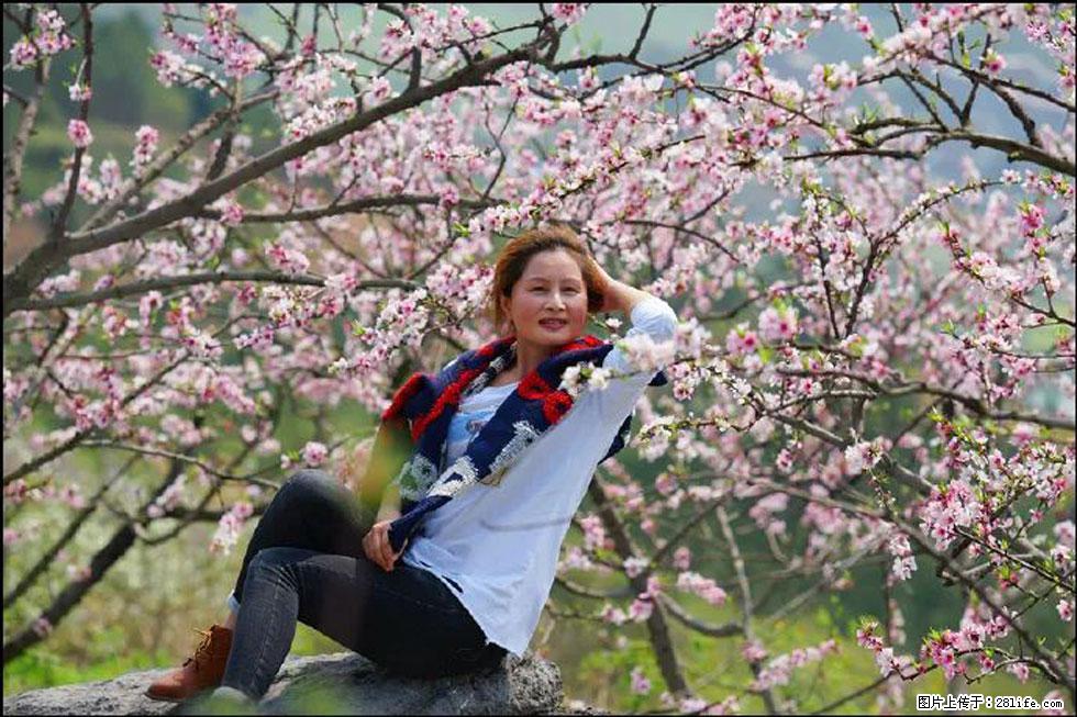 【春天,广西桂林灌阳县向您发出邀请!】望月岭上桃花开 - 游山玩水 - 徐州生活社区 - 徐州28生活网 xz.28life.com