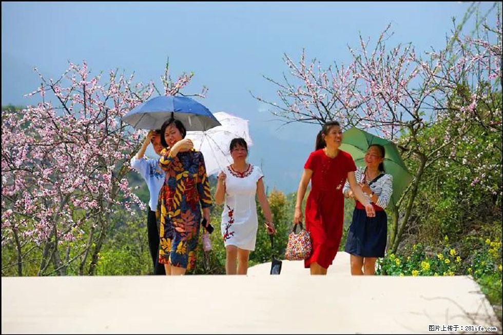 【春天,广西桂林灌阳县向您发出邀请!】望月岭上桃花开 - 游山玩水 - 徐州生活社区 - 徐州28生活网 xz.28life.com