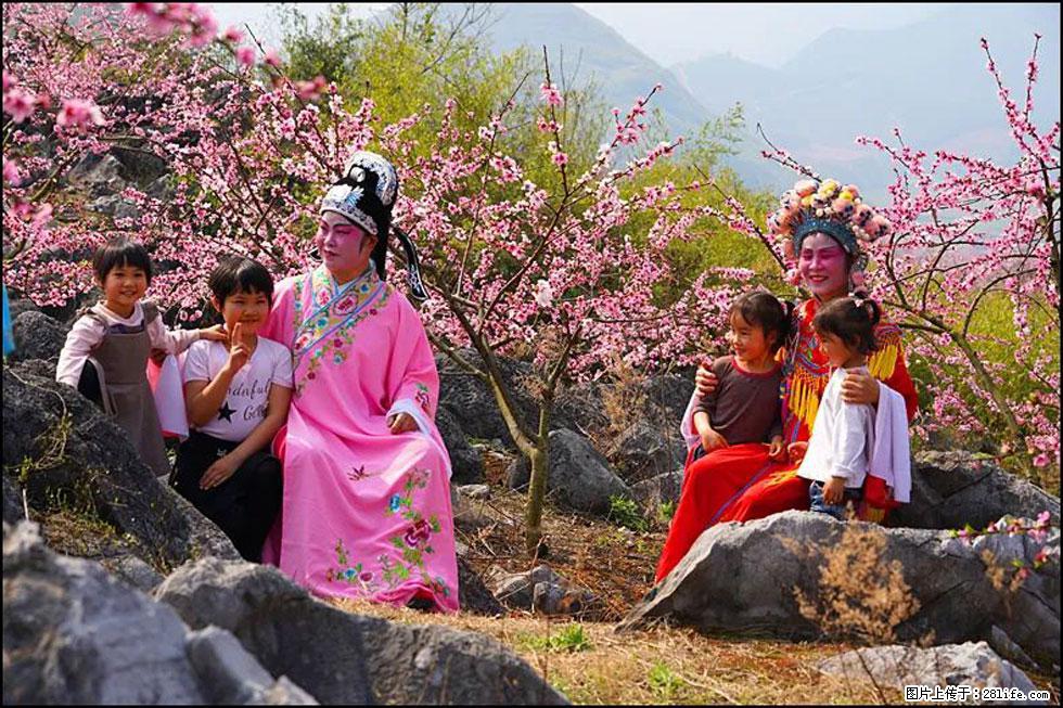 【春天,广西桂林灌阳县向您发出邀请!】望月岭上桃花开 - 游山玩水 - 徐州生活社区 - 徐州28生活网 xz.28life.com