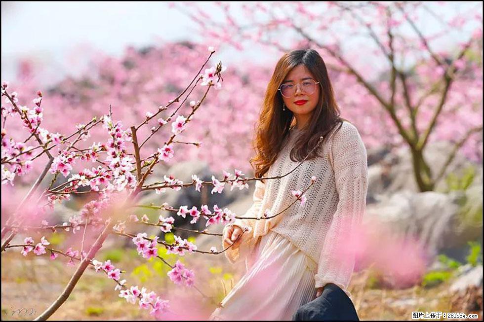 【春天,广西桂林灌阳县向您发出邀请!】望月岭上桃花开 - 游山玩水 - 徐州生活社区 - 徐州28生活网 xz.28life.com