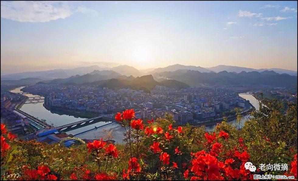 【春天,广西桂林灌阳县向您发出邀请!】登麒麟山,相约映山红 - 游山玩水 - 徐州生活社区 - 徐州28生活网 xz.28life.com