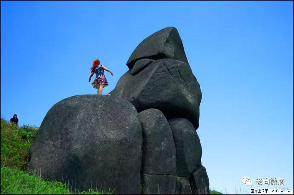 【春天,广西桂林灌阳县向您发出邀请!】宝盖山上映山红 - 游山玩水 - 徐州生活社区 - 徐州28生活网 xz.28life.com