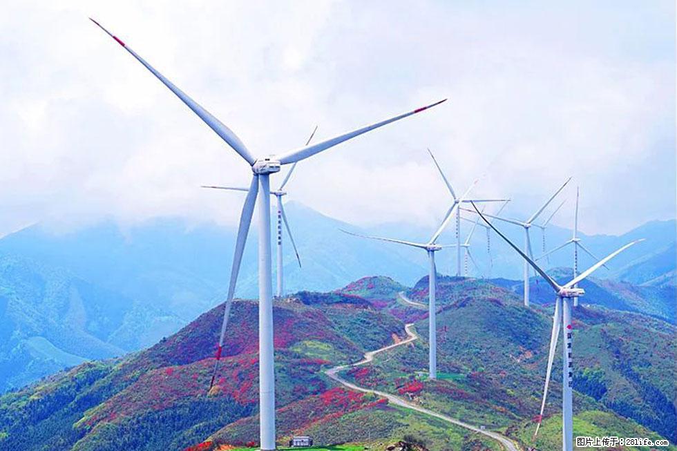 【春天,广西桂林灌阳县向您发出邀请!】春木界上映山红 - 游山玩水 - 徐州生活社区 - 徐州28生活网 xz.28life.com