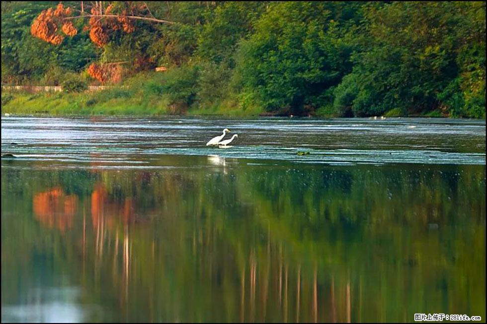 【春天,广西桂林灌阳县向您发出邀请!】熊家寨湿地公园 - 游山玩水 - 徐州生活社区 - 徐州28生活网 xz.28life.com