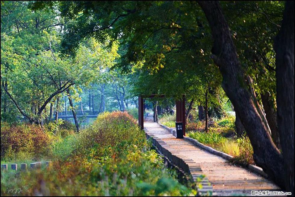 【春天,广西桂林灌阳县向您发出邀请!】熊家寨湿地公园 - 游山玩水 - 徐州生活社区 - 徐州28生活网 xz.28life.com