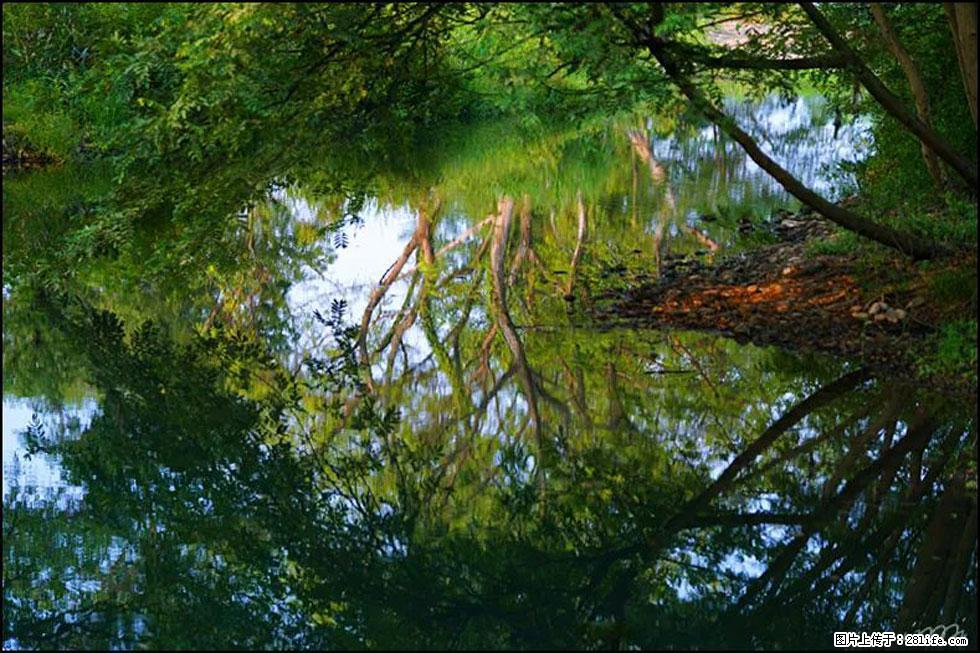 【春天,广西桂林灌阳县向您发出邀请!】熊家寨湿地公园 - 游山玩水 - 徐州生活社区 - 徐州28生活网 xz.28life.com