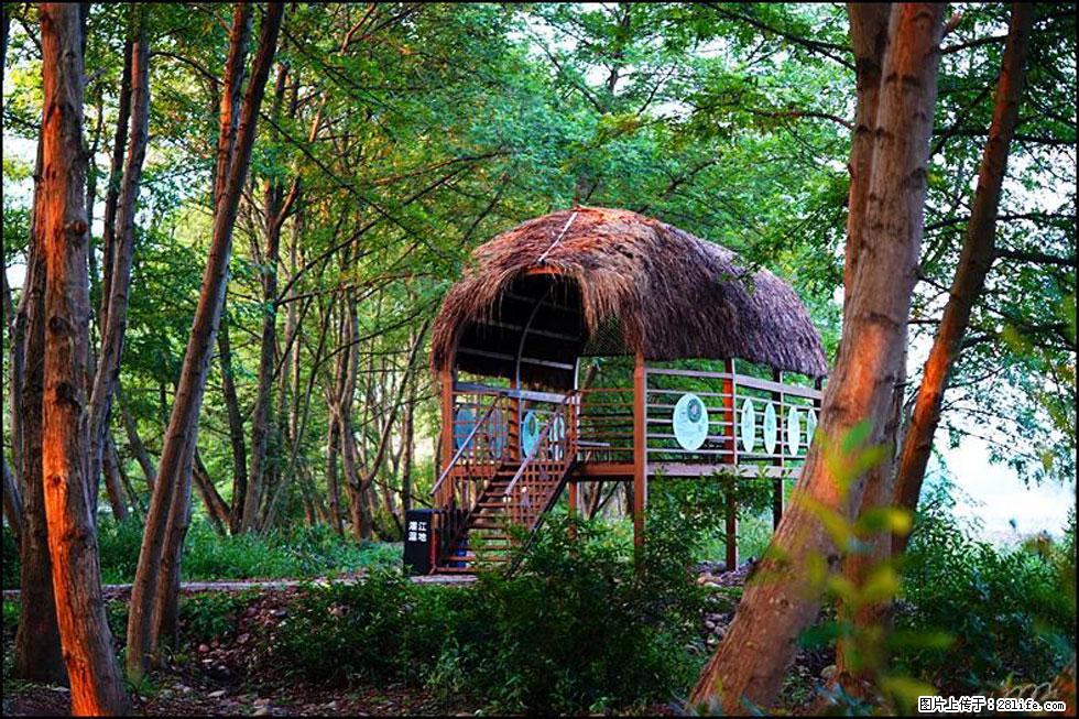 【春天,广西桂林灌阳县向您发出邀请!】熊家寨湿地公园 - 游山玩水 - 徐州生活社区 - 徐州28生活网 xz.28life.com