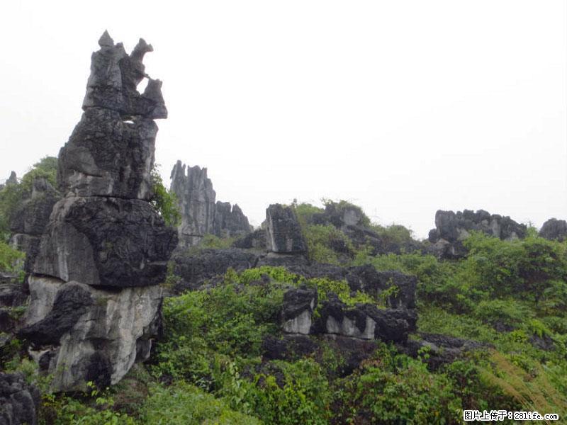 桂林旅游名城景点：灌阳文市石林 - 游山玩水 - 徐州生活社区 - 徐州28生活网 xz.28life.com