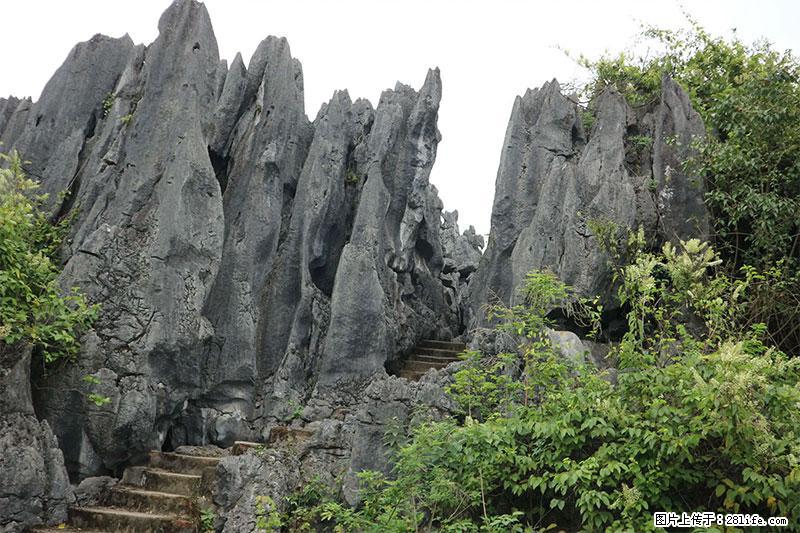 桂林旅游名城景点:灌阳文市石林 - 游山玩水 - 徐州生活社区 - 徐州28生活网 xz.28life.com