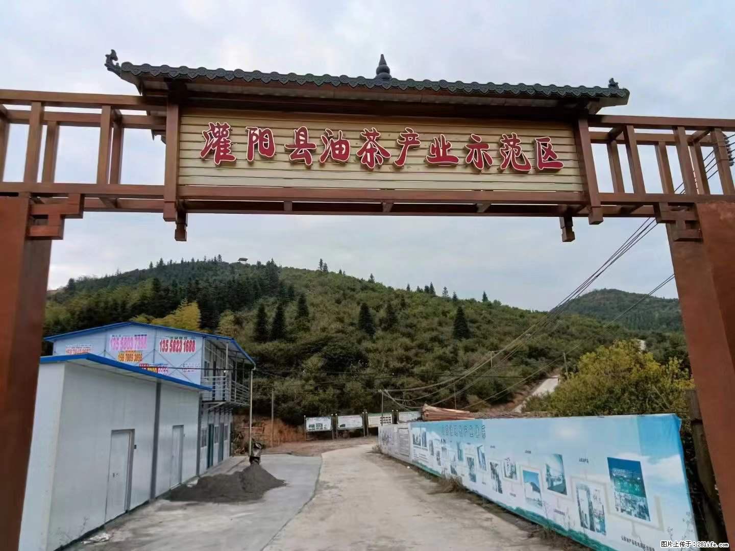 【灌阳县油茶产业示范区】一个有着充实的精神生活的人,对待身外之物自会有一种淡泊的态度 - 美食天地 - 徐州生活社区 - 徐州28生活网 xz.28life.com