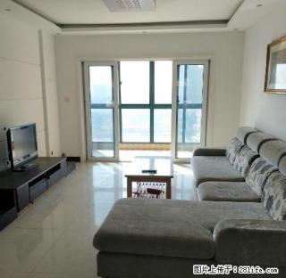 南洋国际 暖气房 家具家电齐全 提包即住 精装修1500！ - 徐州28生活网 xz.28life.com