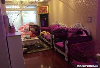 万达旁绿地世纪城豪华装修两室温馨房拎包即住 - 徐州28生活网 xz.28life.com