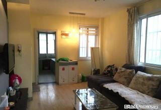 琵琶花园，苹果新天地房屋出租急 急 急 - 徐州28生活网 xz.28life.com