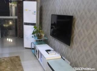金鹰二店鑫苑景园精装两室 - 徐州28生活网 xz.28life.com