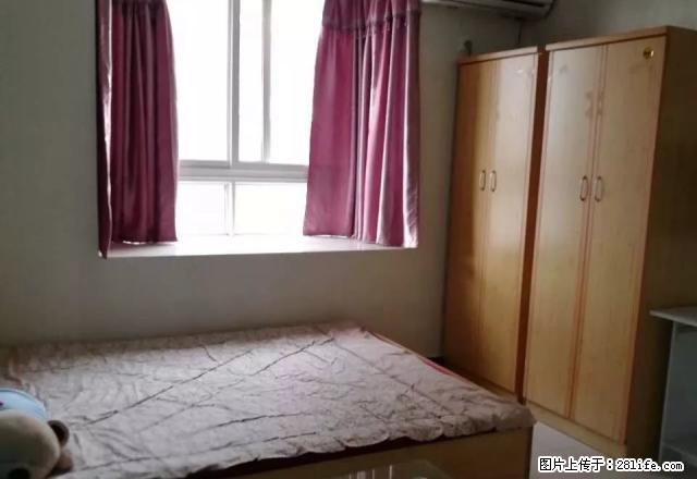 金鹰二店 段庄广场长短租均可 性价比超高 单身公寓精装修 - 房屋出租 - 房屋租售 - 徐州分类信息 - 徐州28生活网 xz.28life.com