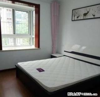青年路小学未来城3室豪华,全新高档家具(全新高档装修,一 - 徐州28生活网 xz.28life.com