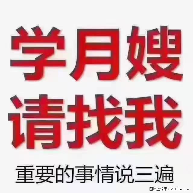 【招聘】月嫂，上海徐汇区 - 其他招聘信息 - 招聘求职 - 徐州分类信息 - 徐州28生活网 xz.28life.com