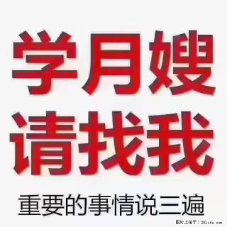 【招聘】月嫂，上海徐汇区 - 徐州28生活网 xz.28life.com