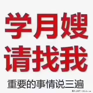 【招聘】月嫂,上海徐汇区 - 徐州28生活网 xz.28life.com