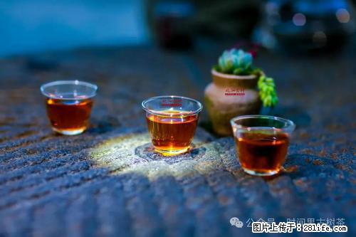 时间果百年古树2025年春红茶 - 购物交流 - 徐州生活社区 - 徐州28生活网 xz.28life.com