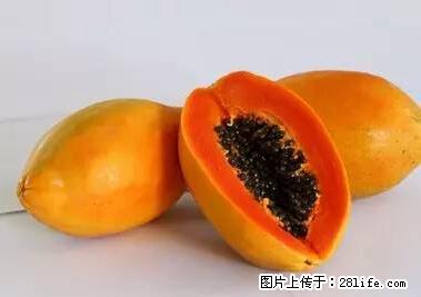 晕车、脚气、牙齿变黄、皮肤粗糙?学会这些三分钟搞定! - 徐州生活资讯 - 徐州28生活网 xz.28life.com
