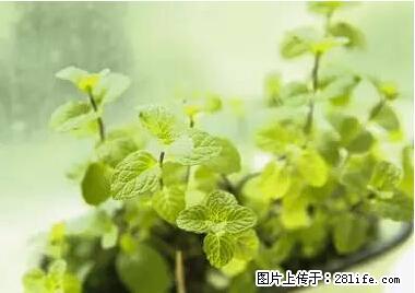 晕车、脚气、牙齿变黄、皮肤粗糙?学会这些三分钟搞定! - 徐州生活资讯 - 徐州28生活网 xz.28life.com