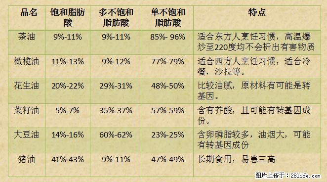 揭秘茶油的5大核心营养成分!被称为人体健康的“守护盾”! - 徐州生活资讯 - 徐州28生活网 xz.28life.com