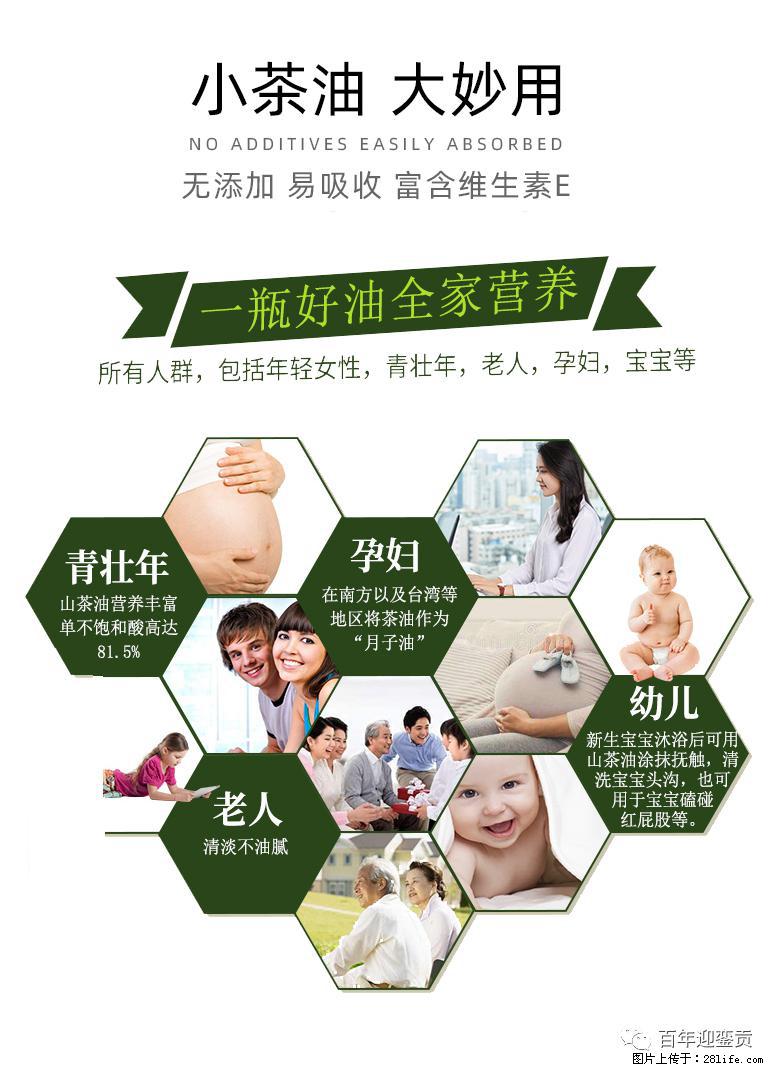 世界没有真相,只有认知,最好的食用油是中国的山茶油! - 徐州生活资讯 - 徐州28生活网 xz.28life.com
