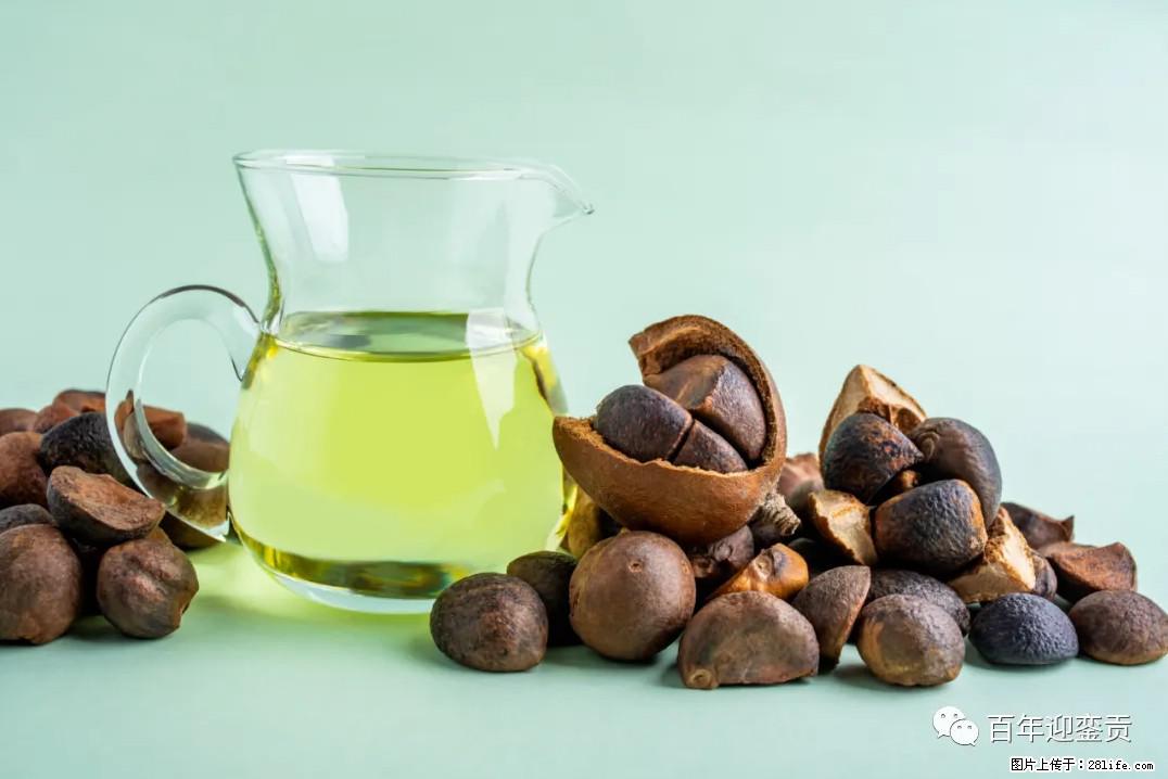 世界没有真相，只有认知，最好的食用油是中国的山茶油！ - 徐州生活资讯 - 徐州28生活网 xz.28life.com