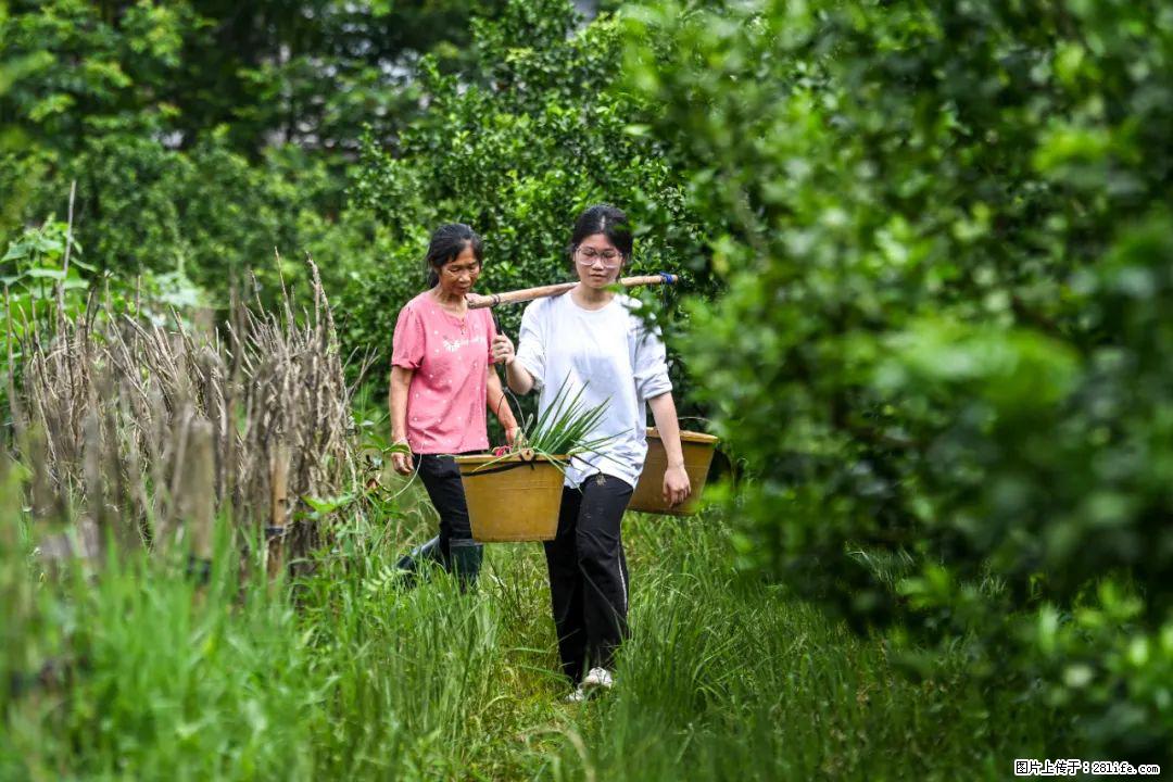 全网追的“扁担女孩”,找了一份暑假工,时薪12元 - 徐州生活资讯 - 徐州28生活网 xz.28life.com