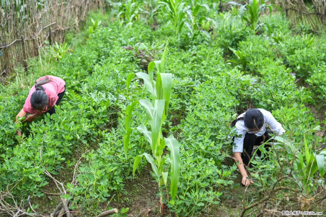 全网追的“扁担女孩”,找了一份暑假工,时薪12元 - 徐州生活资讯 - 徐州28生活网 xz.28life.com