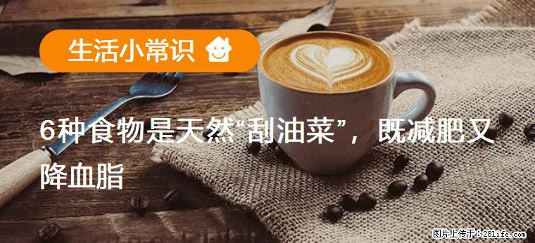 【生活小常识】6种食物是天然“刮油菜”,既减肥又降血脂 - 徐州生活资讯 - 徐州28生活网 xz.28life.com