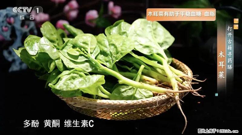 比牛奶补钙还厉害!凉血解毒、稳血糖...这菜冬天必吃,很多人却当草 - 徐州生活资讯 - 徐州28生活网 xz.28life.com