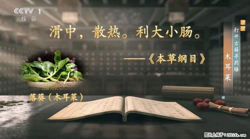 比牛奶补钙还厉害!凉血解毒、稳血糖...这菜冬天必吃,很多人却当草 - 徐州生活资讯 - 徐州28生活网 xz.28life.com