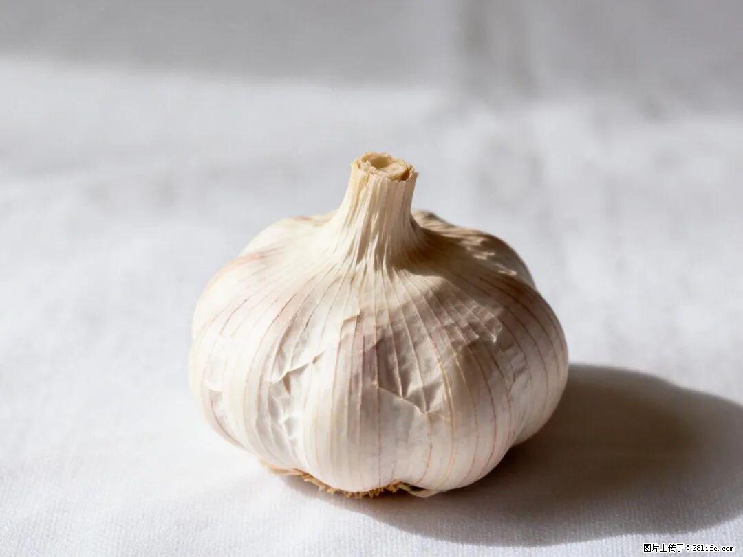关于大蒜，除了“天然抗生素”，这4个谣言更该警惕! - 徐州生活资讯 - 徐州28生活网 xz.28life.com