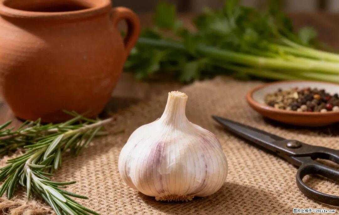 关于大蒜，除了“天然抗生素”，这4个谣言更该警惕! - 徐州生活资讯 - 徐州28生活网 xz.28life.com