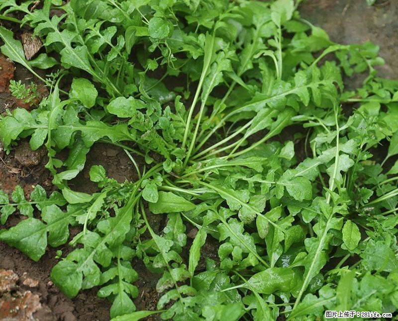 这些蔬菜是“天然钙片”，这6种被医生重点推荐 - 徐州生活资讯 - 徐州28生活网 xz.28life.com