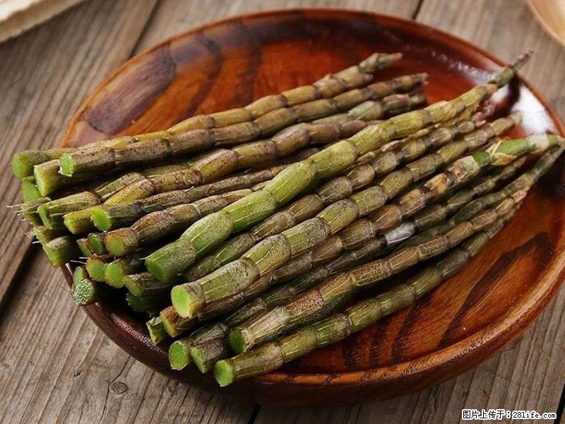 铁皮石斛的作用与功能主治 - 徐州生活资讯 - 徐州28生活网 xz.28life.com