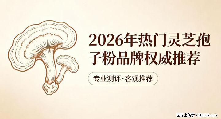 灵芝孢子粉含量越高越有效？2026 年七款热门品牌深度实测，肠胃敏感者避坑指南 - 徐州生活资讯 - 徐州28生活网 xz.28life.com